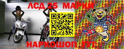 гашик Гатчина