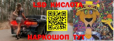 амф Гай