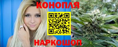 гашик Гатчина