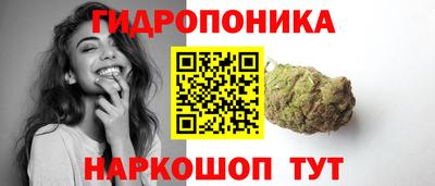 амф Гай