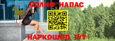 амф Гай