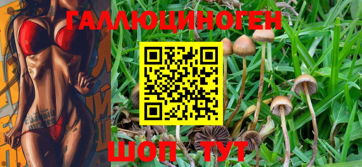 Галлюциногенные грибы Magic Shrooms  Вход с VPN  Кировск 