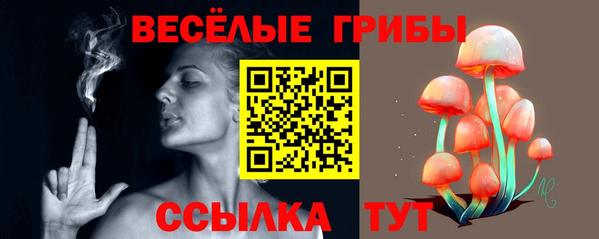 Галлюциногенные грибы Psilocybine cubensis Кировск