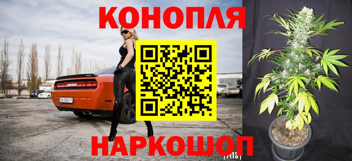 Бошки марихуана VHQ Кировск